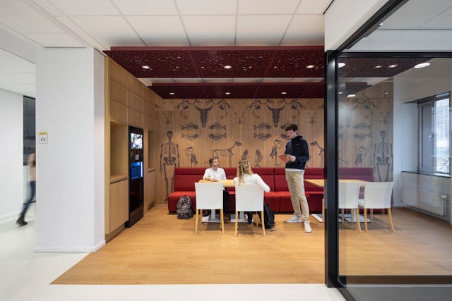 Beeld Stijn Poelstra