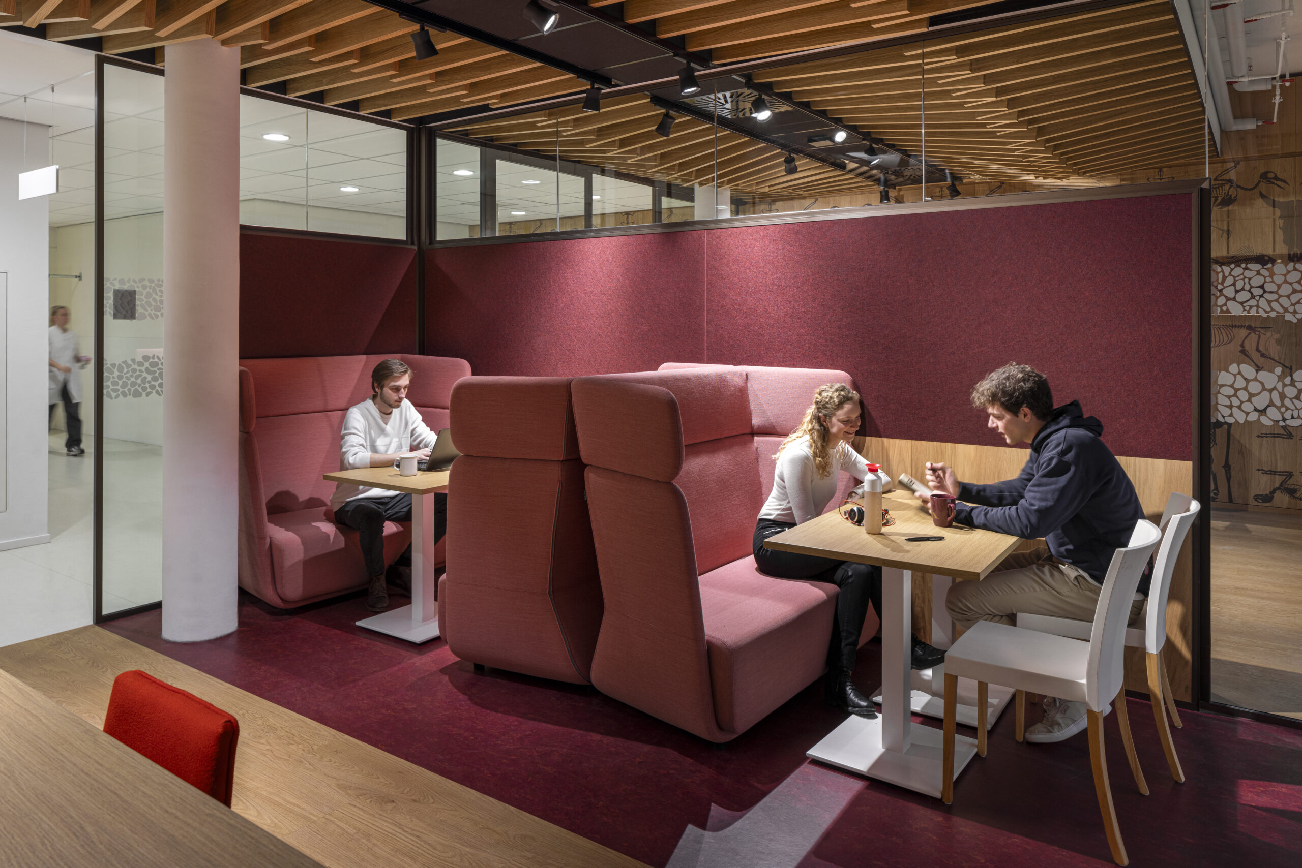 Beeld Stijn Poelstra