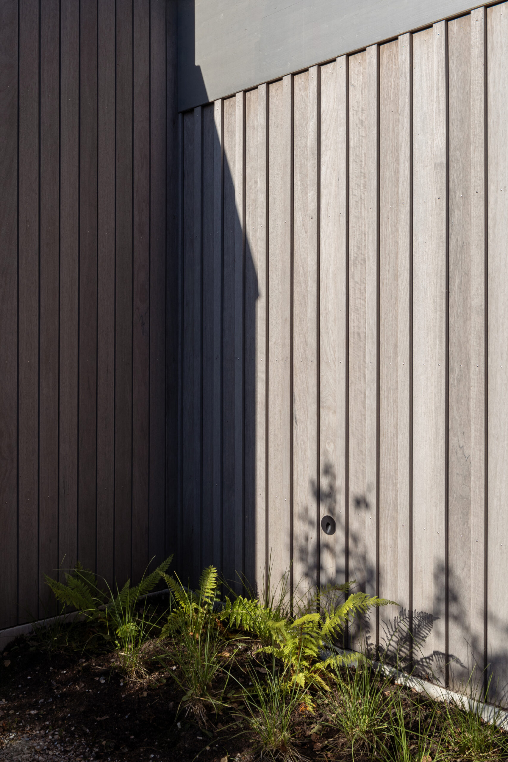 Beeld Anna Odulinska