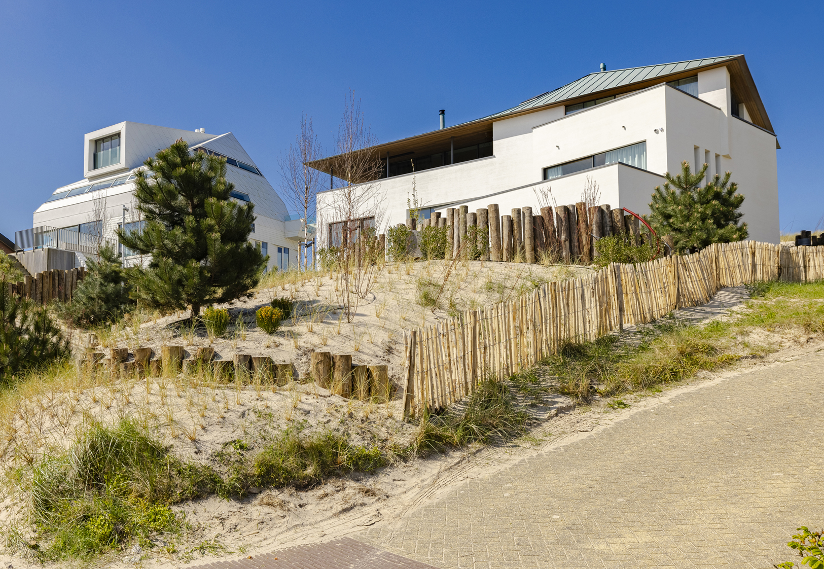 Beeld Adam van Noort