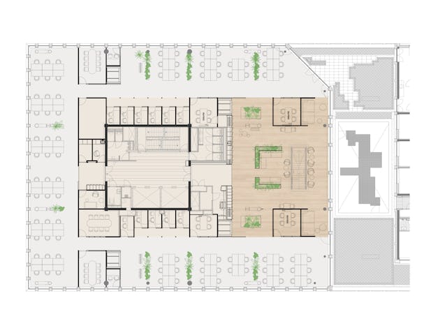 Beeld Hollandse Nieuwe