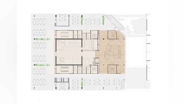 Beeld Hollandse Nieuwe