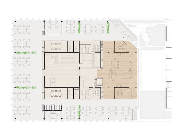 Beeld Hollandse Nieuwe