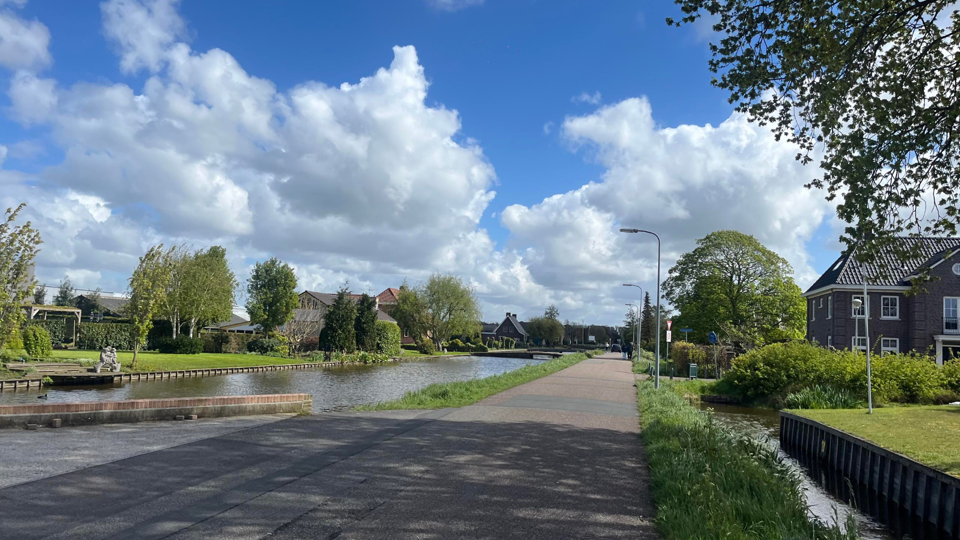 Beeld De Zwarte Hond