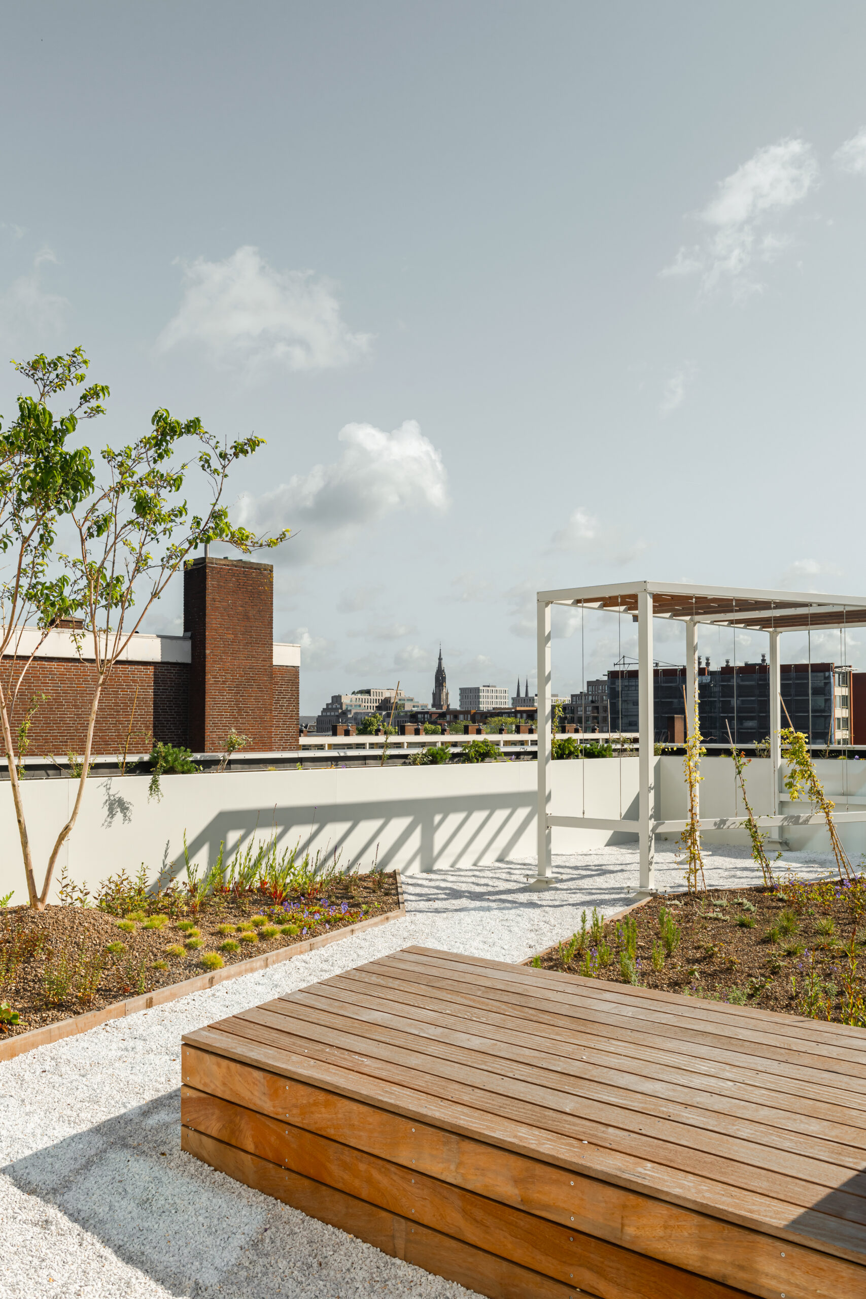 Beeld Sebastian van Damme