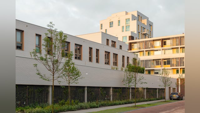 Beeld Sebastian van Damme