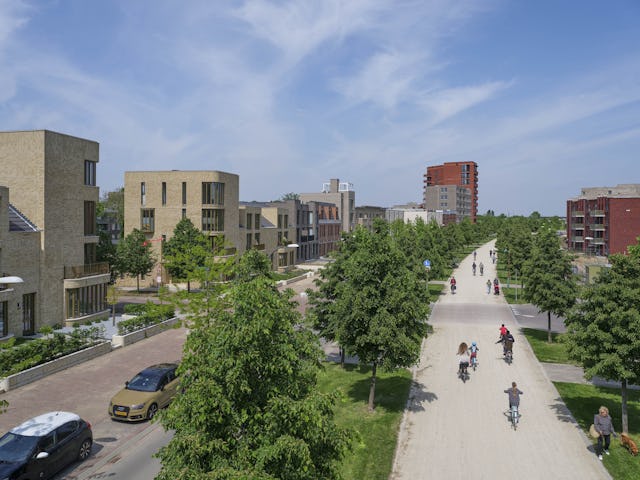 De Groene Loper. Beeld Jeroen Musch