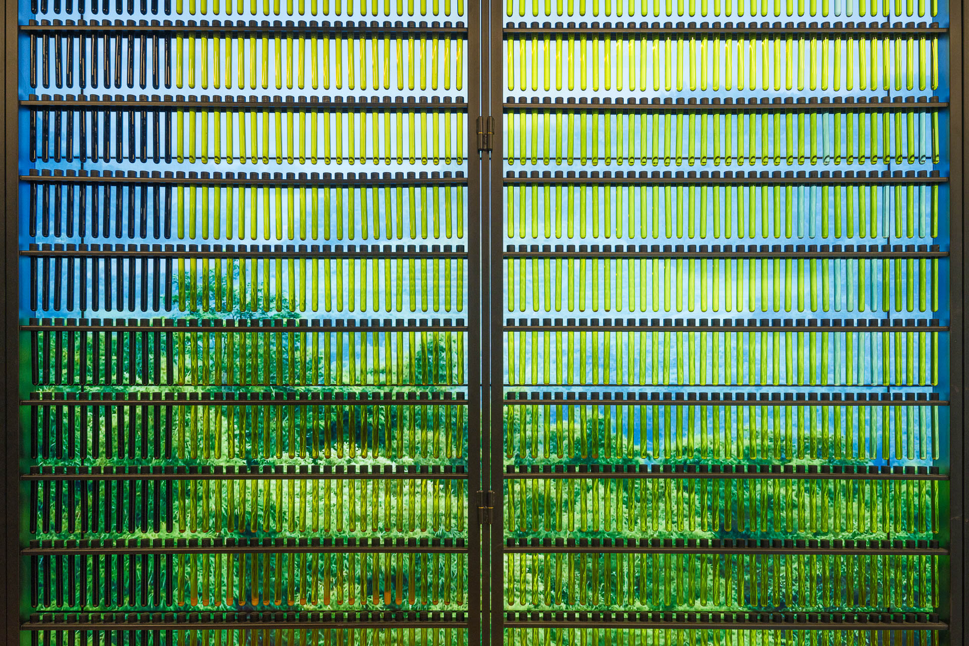 Beeld Stijn Poelstra