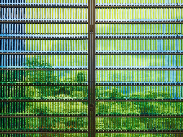 Beeld Stijn Poelstra