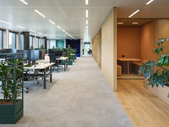 Beeld Stijn Poelstra