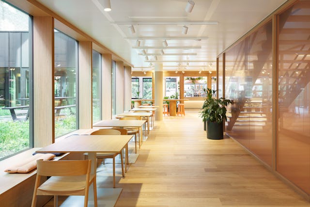 Beeld Stijn Poelstra