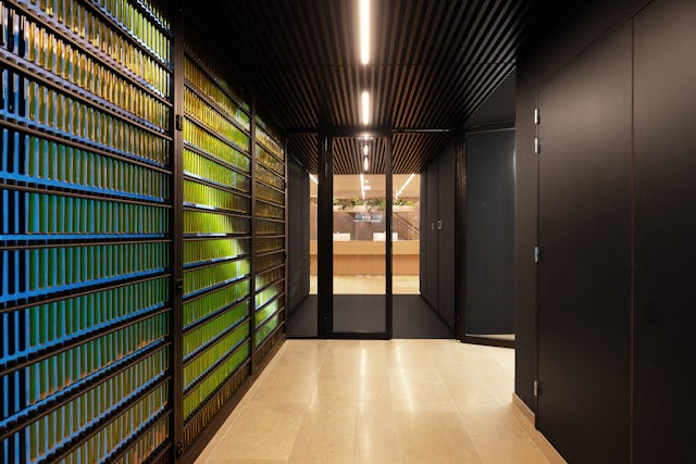 Beeld Stijn Poelstra