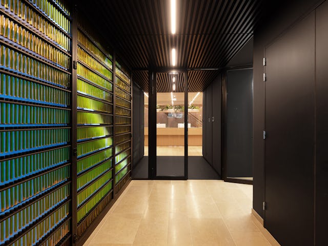 Beeld Stijn Poelstra