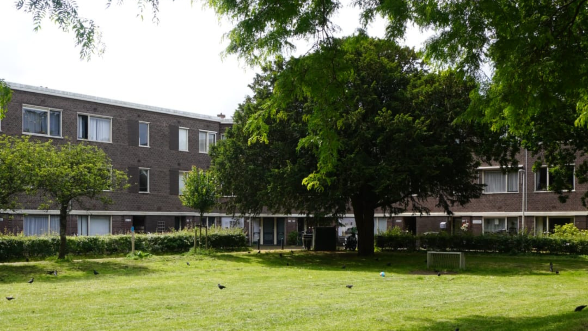 Weigeliaplein. Beeld Tim de Boer