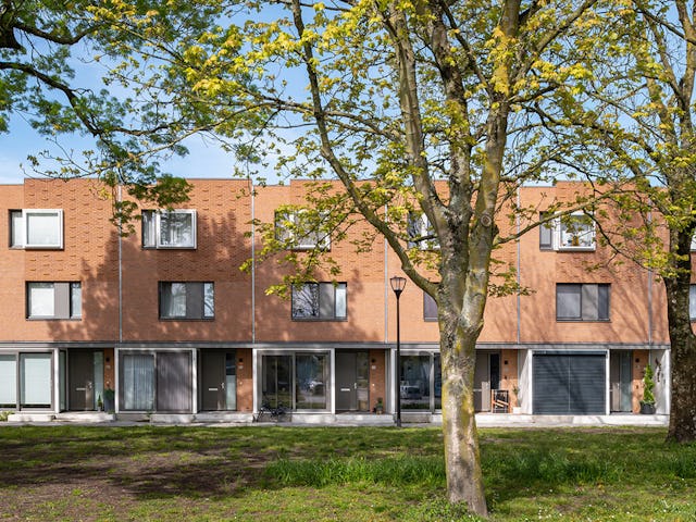 Beeld Aiste Rakauskaite