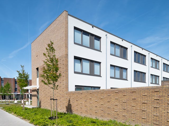 Beeld Aiste Rakauskaite