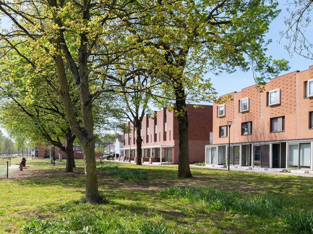 Beeld Aiste Rakauskaite