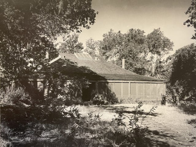 Budgehuis (1966) door William Turnbull jr. Beeld Morley Baer