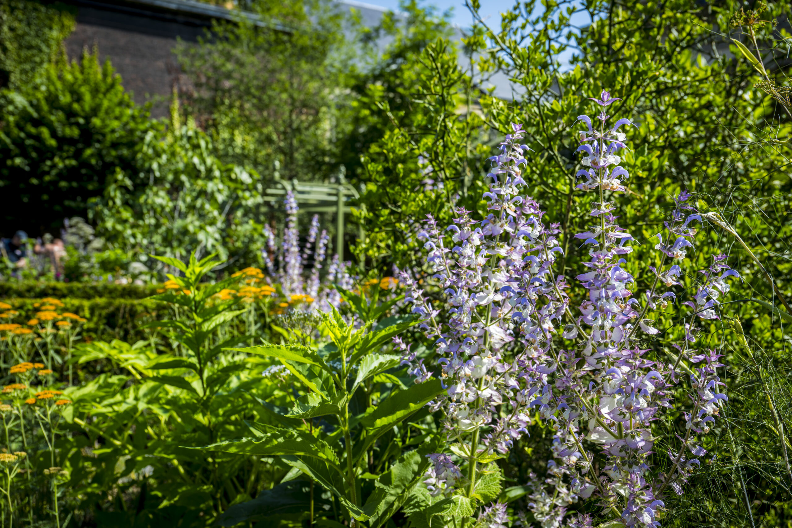 Beeld Frederik Beyens