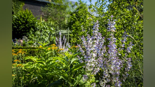 Beeld Frederik Beyens