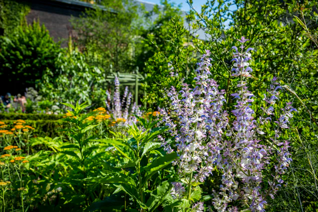 Beeld Frederik Beyens