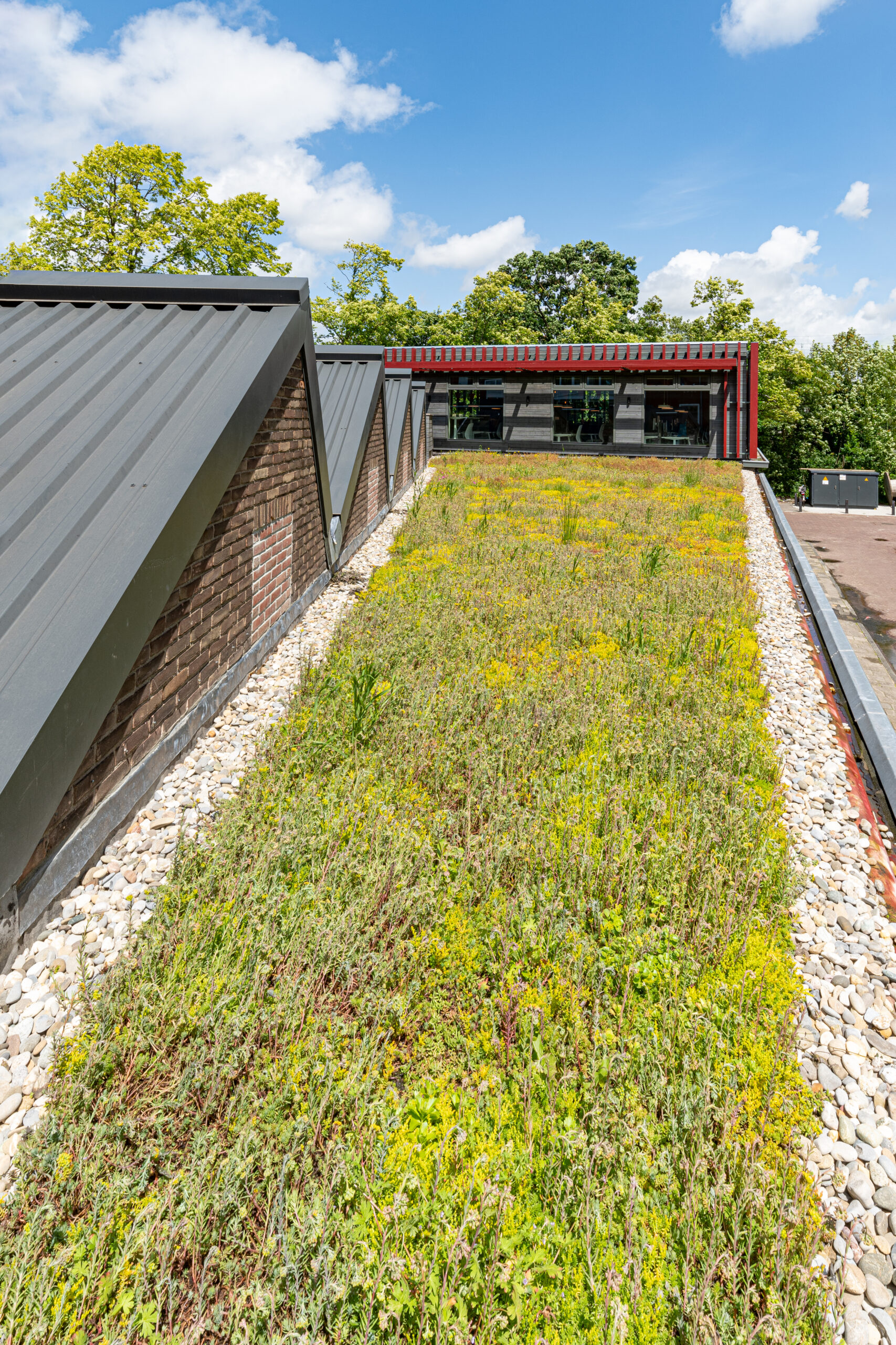 Beeld Ronald Schouten Fotografie