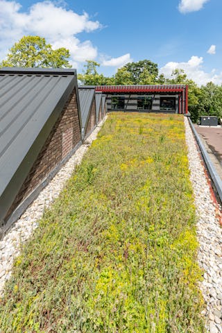 Beeld Ronald Schouten Fotografie