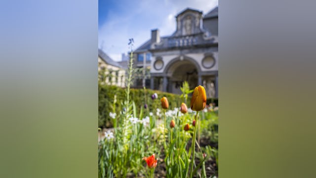 Nieuw tuinaanleg. Beeld Frederik Beyens