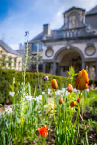 Nieuw tuinaanleg. Beeld Frederik Beyens