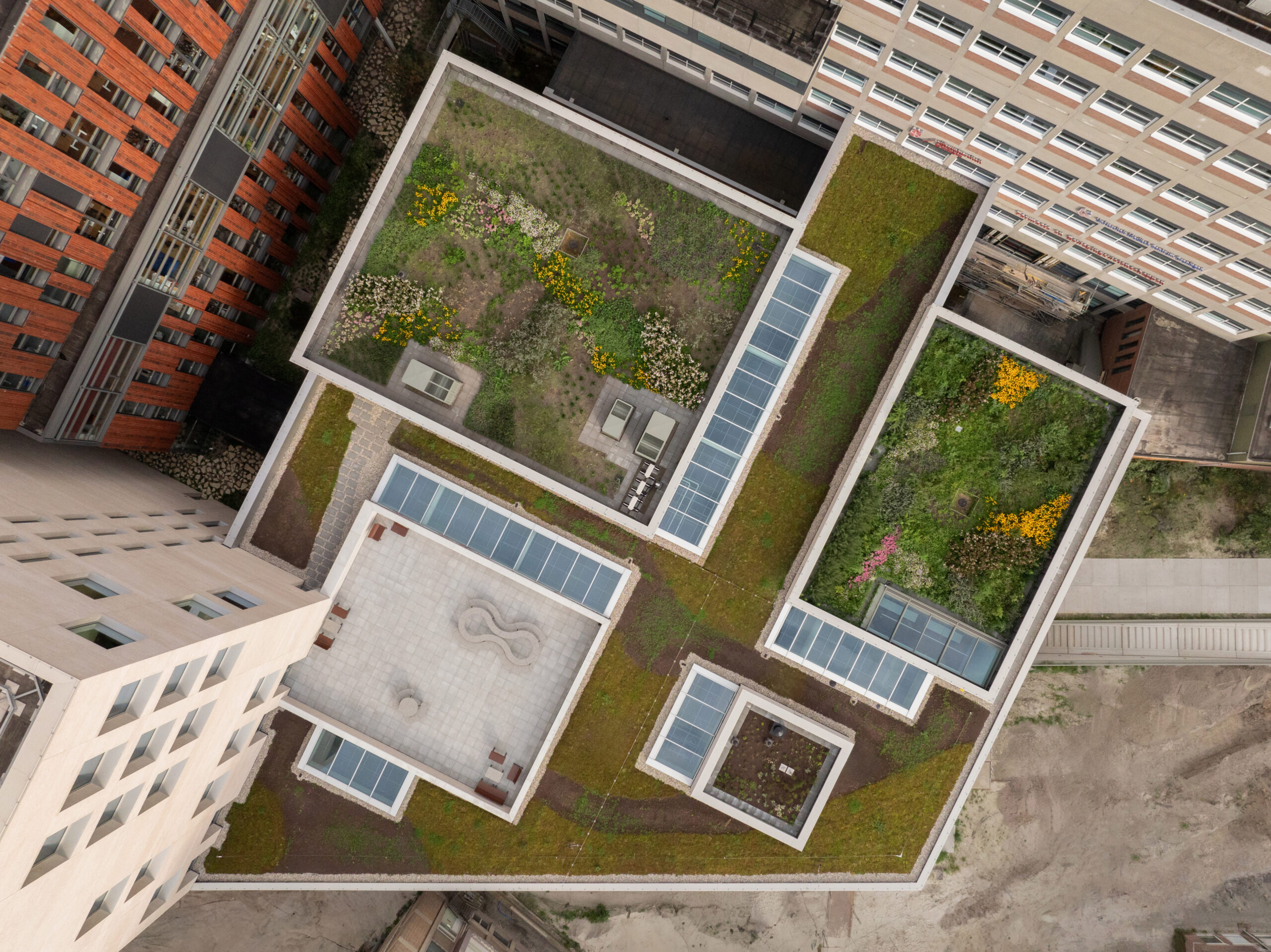 Beeld Marcel IJzerman