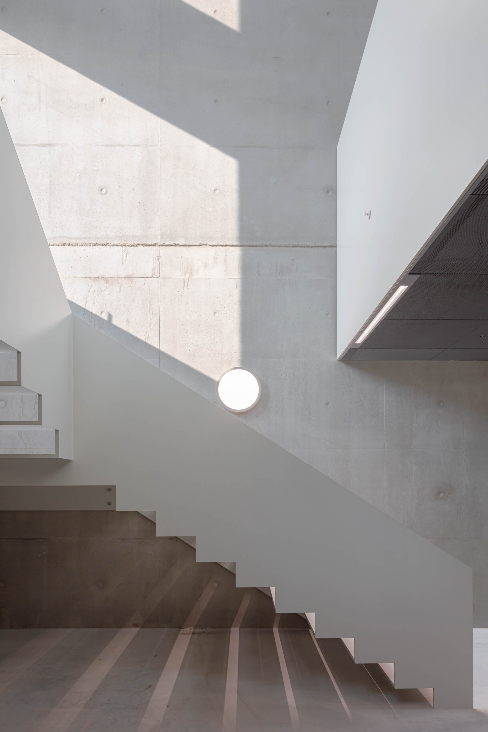 Beeld Sebastian van Damme