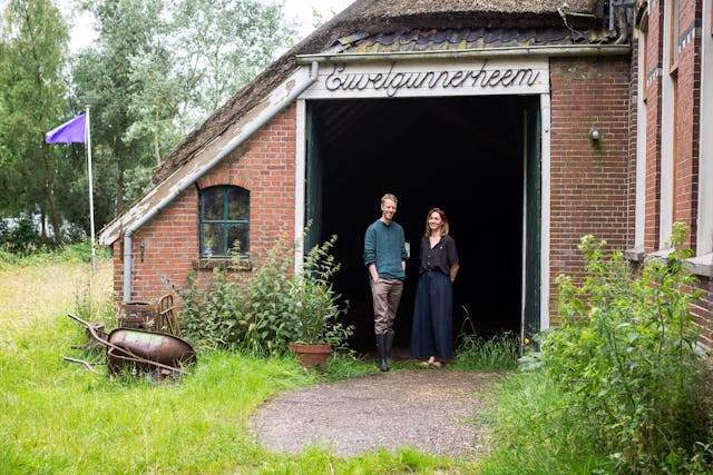 Landscape collected. Foto David Vroom