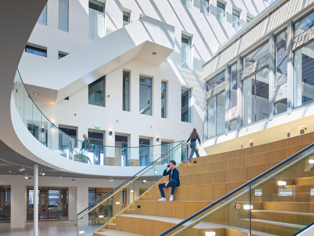 Beeld Ronald Tilleman