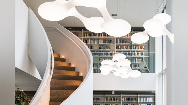 Beeld Stijn Poelstra