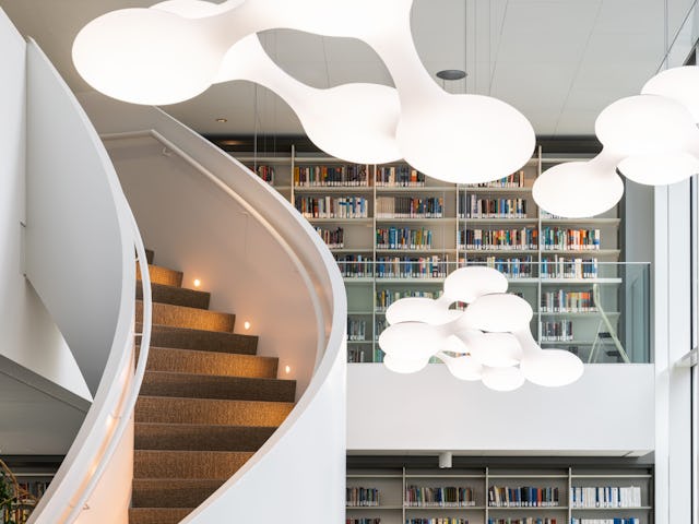 Beeld Stijn Poelstra