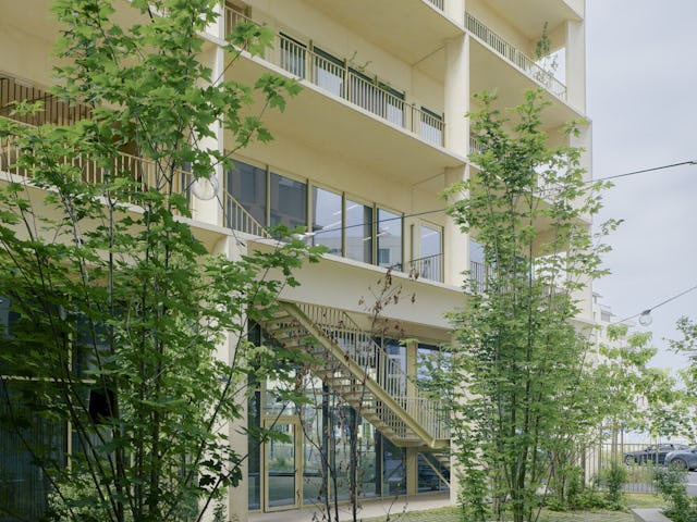 Beeld Fabrice Fouillet