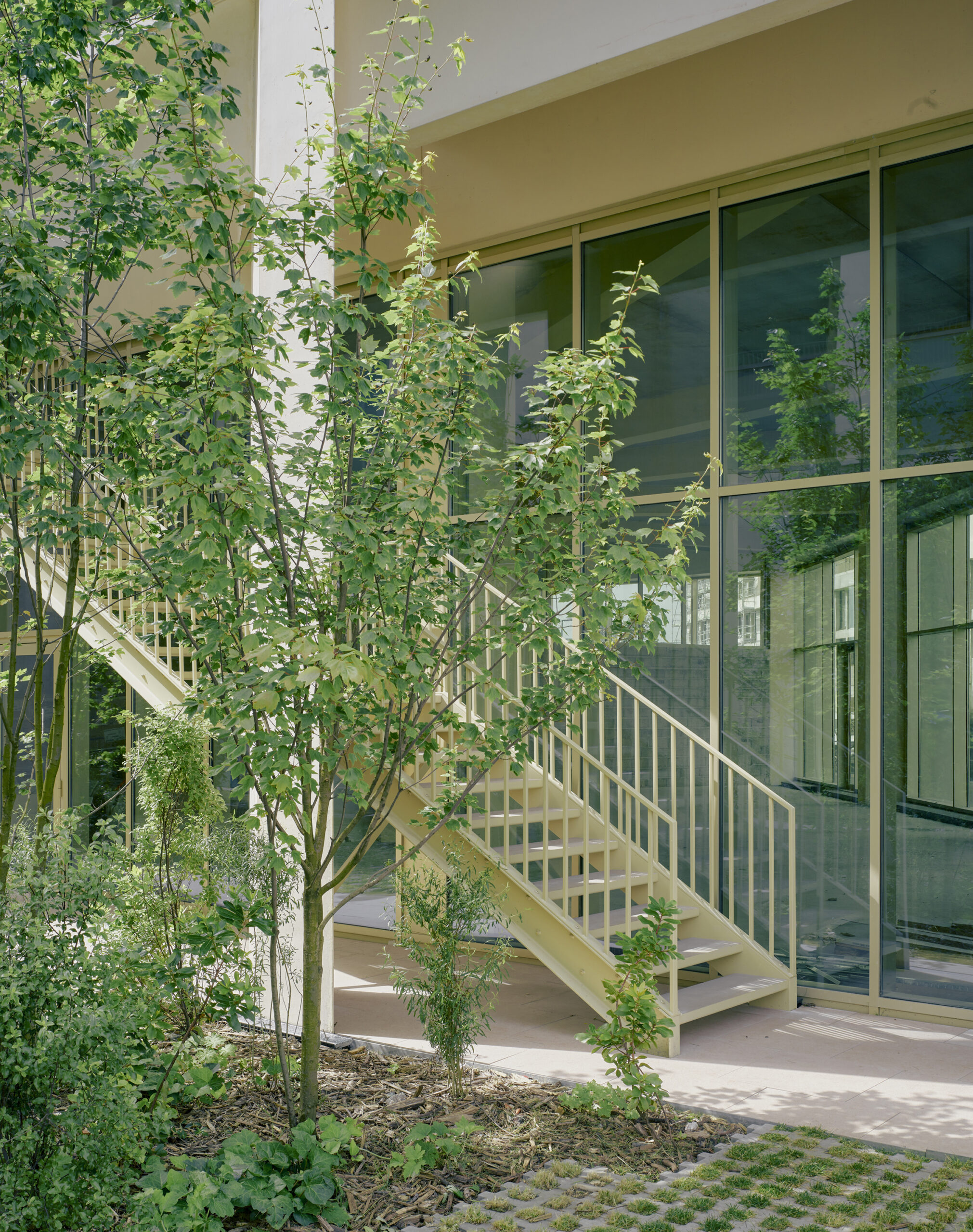 Beeld Fabrice Fouillet