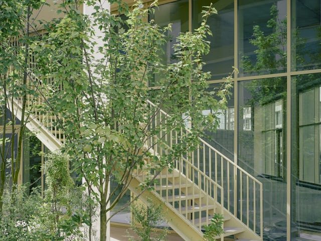 Beeld Fabrice Fouillet