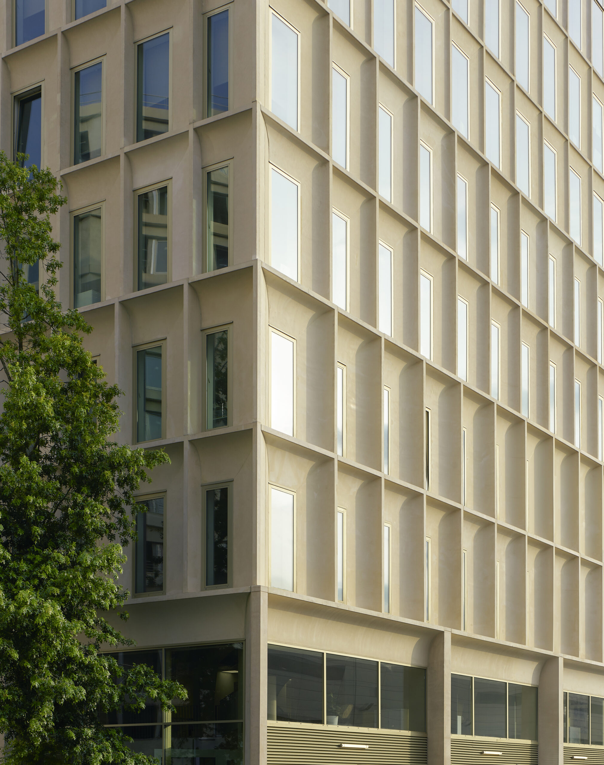 Beeld Fabrice Fouillet