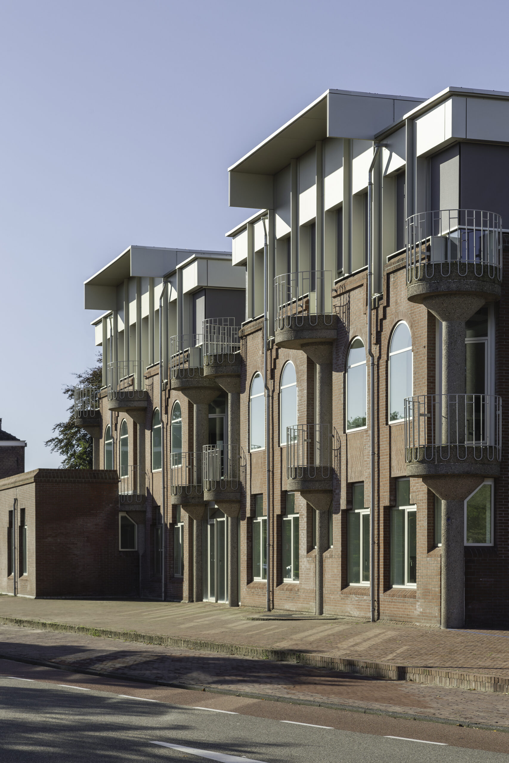 Beeld De Zwarte Hond