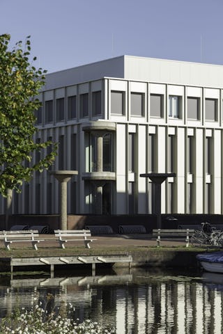 Beeld De Zwarte Hond