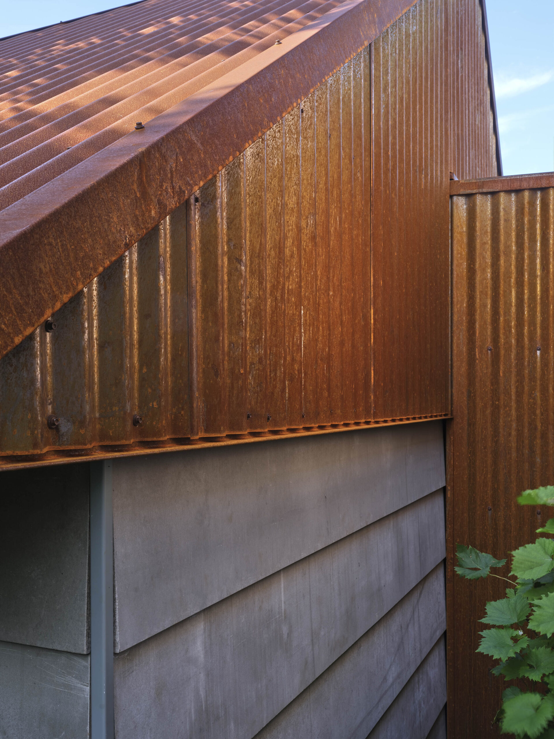 Solitair. Beeld Jeroen Musch