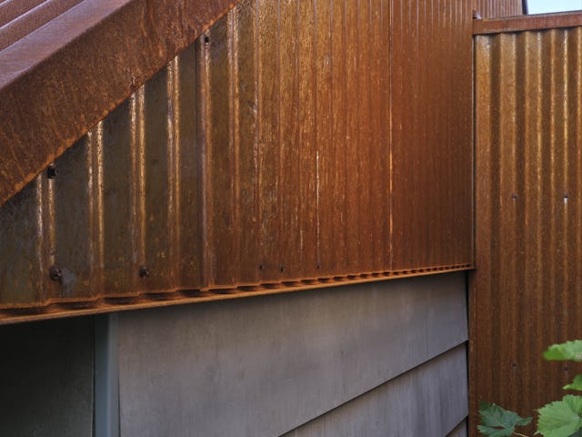 Solitair. Beeld Jeroen Musch