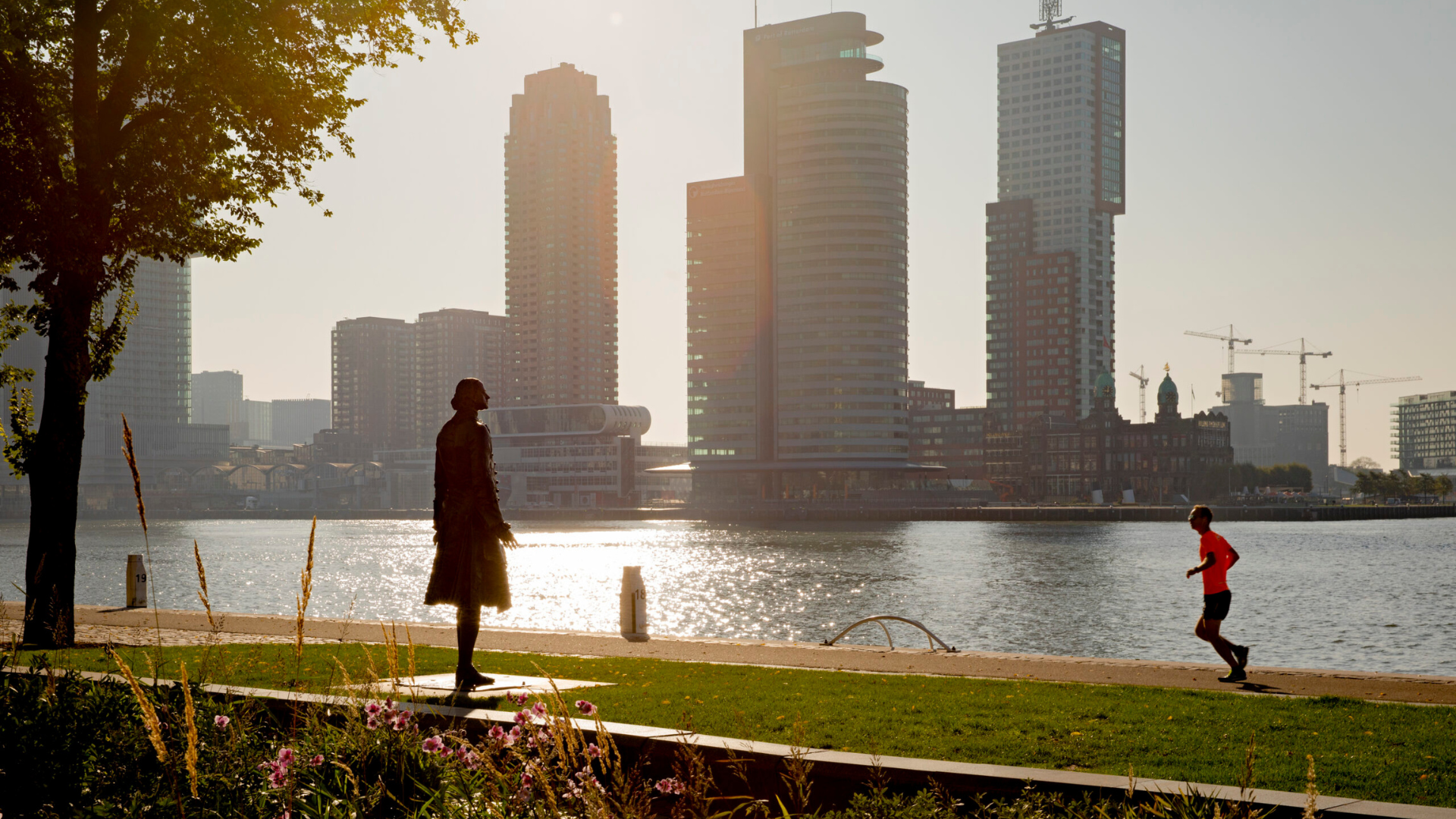 Hardlopen langs de Westerkade in Rotterdam. Beeld Iris van den Broek