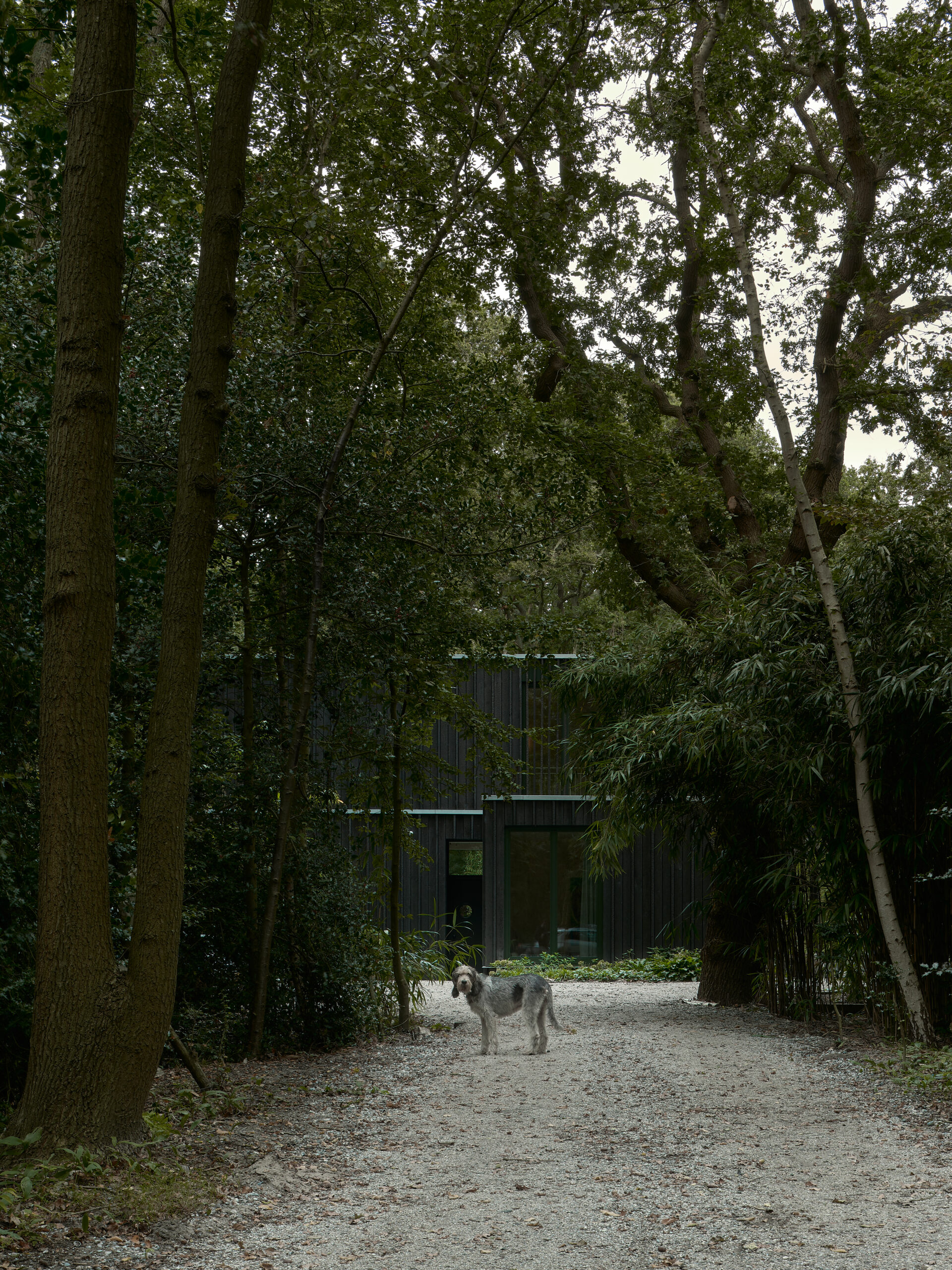 Beeld Max Hart Nibbrig