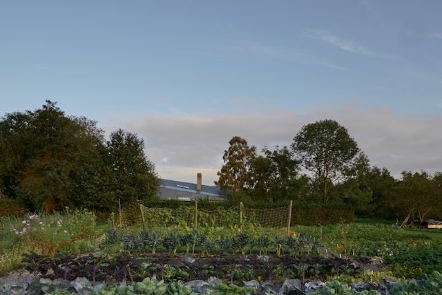 Orchard House. Beeld MWA Hart Nibbrig