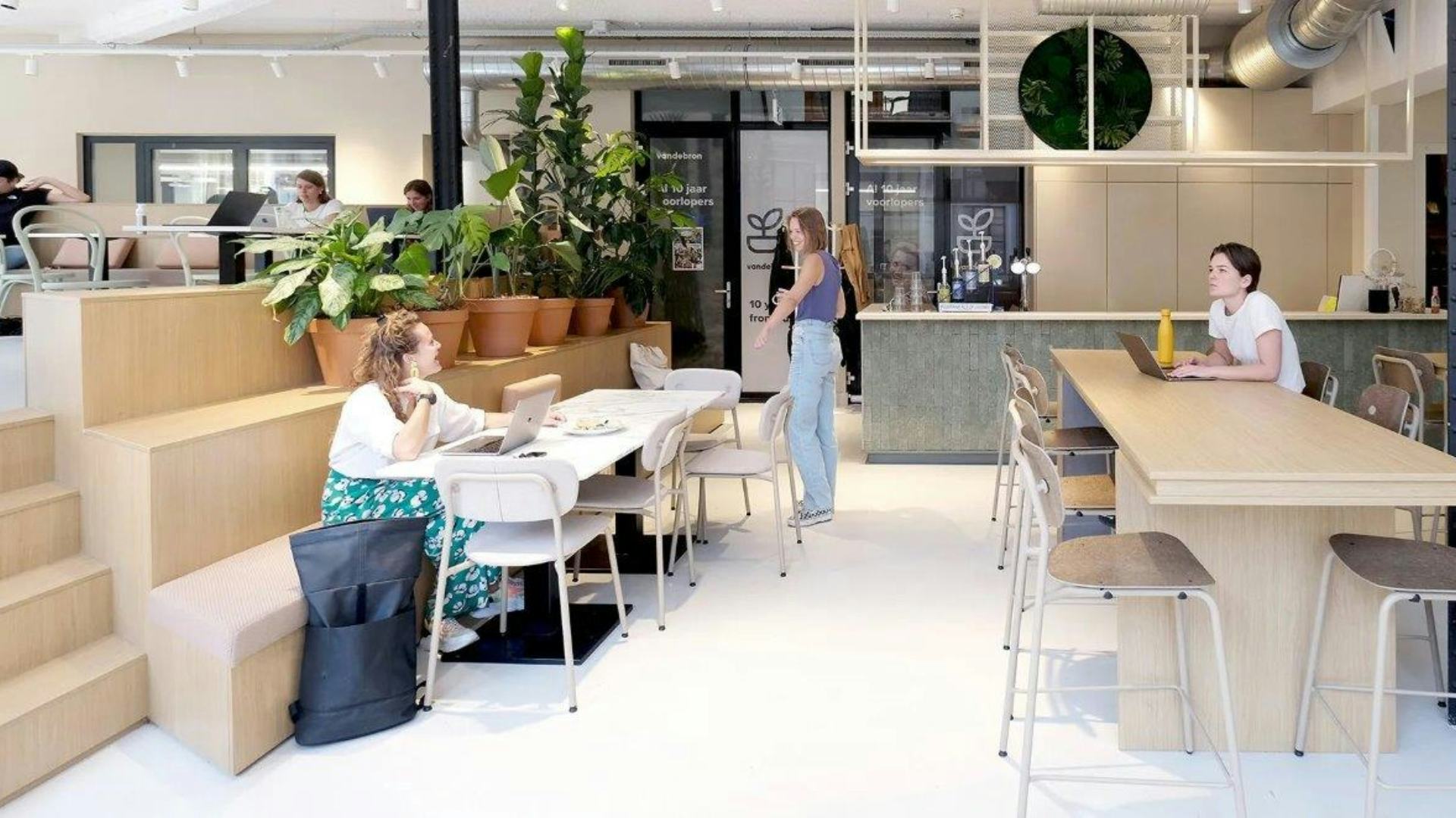 Beeld Hollandse Nieuwe