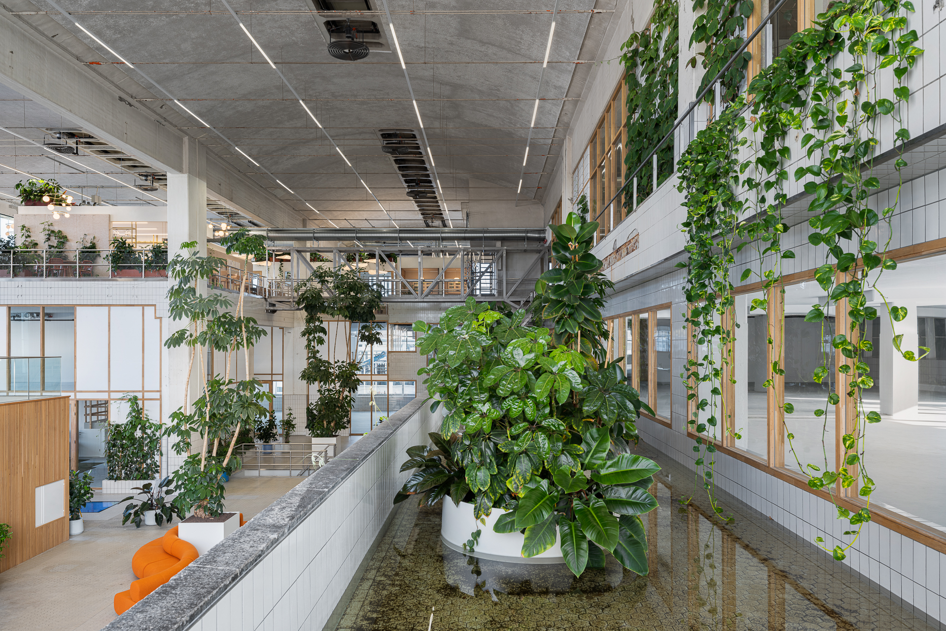 Beeld Stijn Poelstra