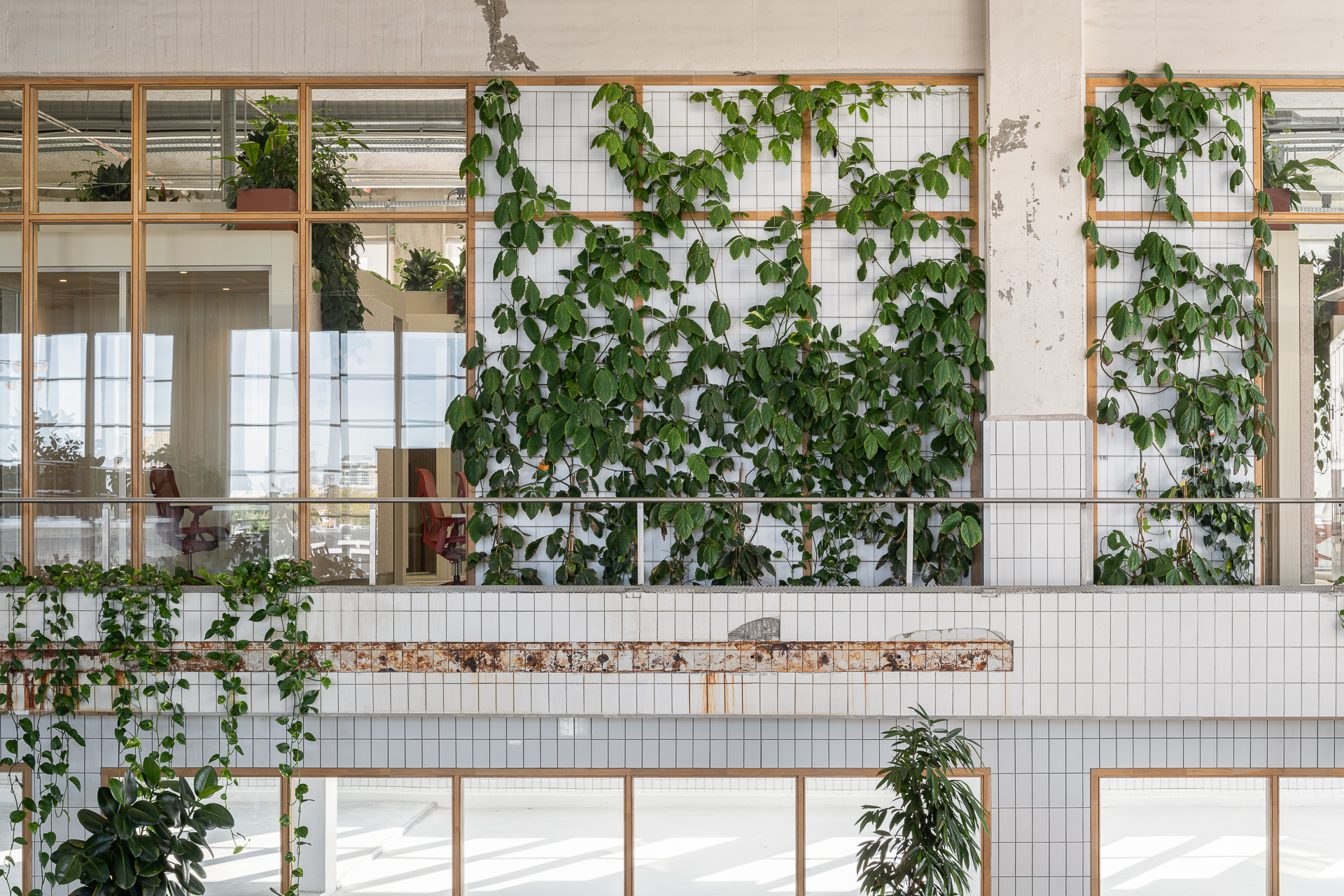 Beeld Stijn Poelstra