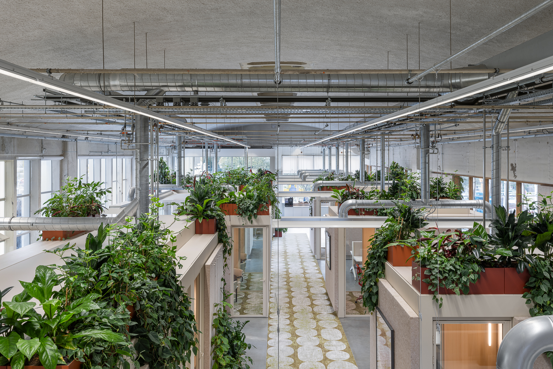 Beeld Stijn Poelstra